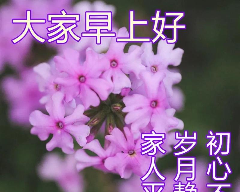 2023年第一天暖心句子有哪些？如何用它们温暖人心？