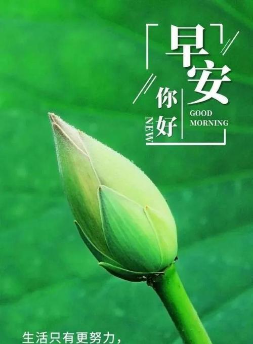 2023年第一天如何保持美好心情？早安语录有哪些推荐？