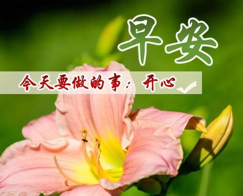 2023年第一天的心情句子感言是什么？如何表达新年的第一份情感？