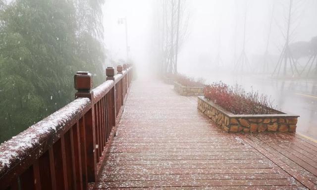 2023年第一场雪怎么发朋友圈说说？有哪些创意文案推荐？