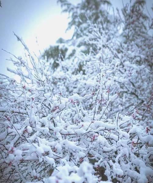 2023年第一场雪怎么发朋友圈说说？有哪些创意文案推荐？