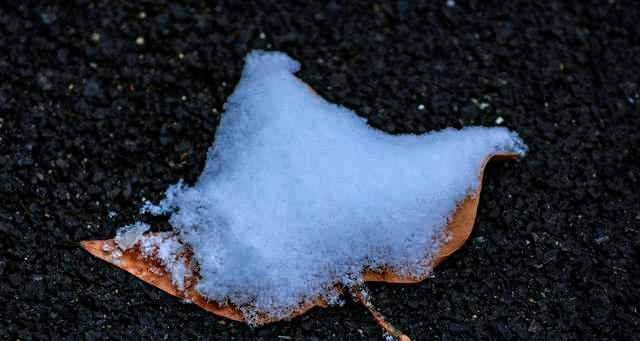 2023年第一场雪来了，你的心情如何表达？