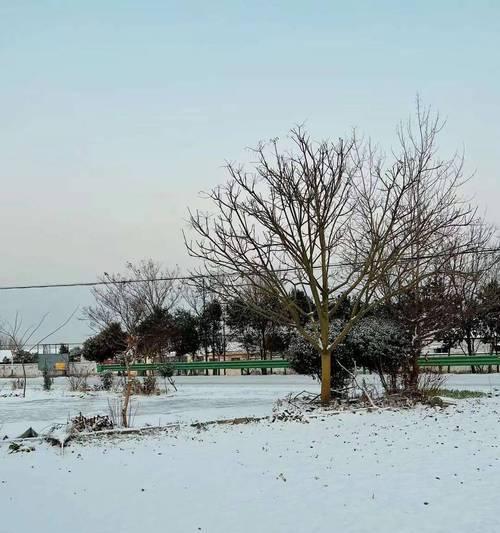 2023年第一场雪的朋友圈伤感说说怎么写？有哪些热门话题？