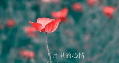 五月你好微信朋友圈唯美句子好句有哪些？如何挑选适合自己的？