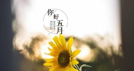 五月你好微信朋友圈唯美句子好句有哪些？如何挑选适合自己的？