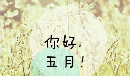 五月你好好句短句是什么意思？如何在日常生活中应用？