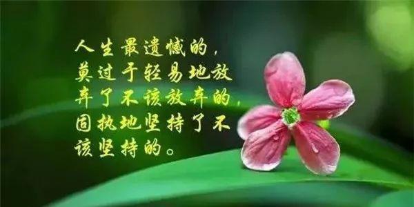 春分时节有哪些唯美的句子？如何用这些句子表达春天的情感？