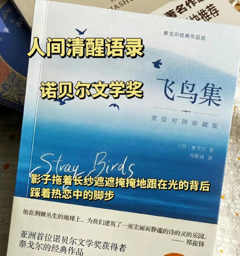 2023年毕业季告白语录115条？如何用最动人的话语表达情感？