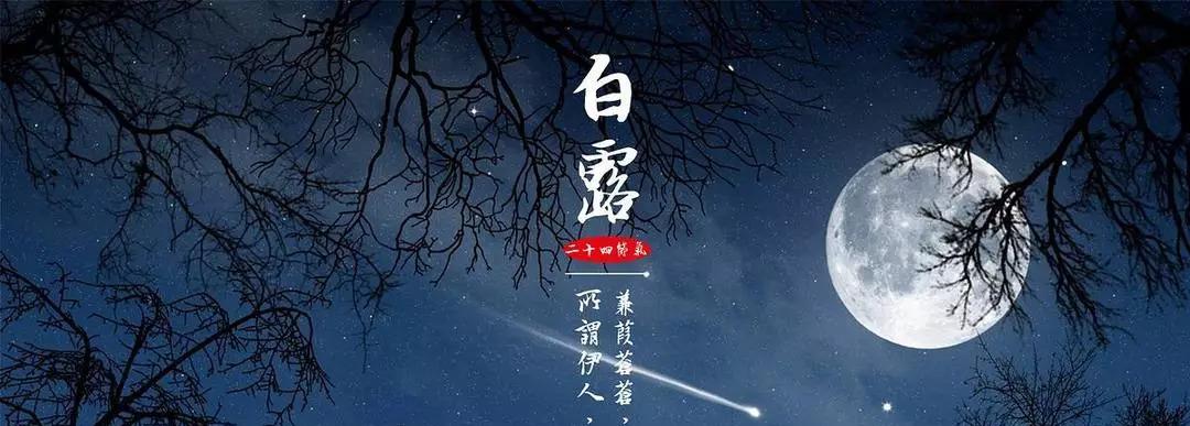 2023年白露经典祝福句子有哪些？如何挑选合适的祝福语？