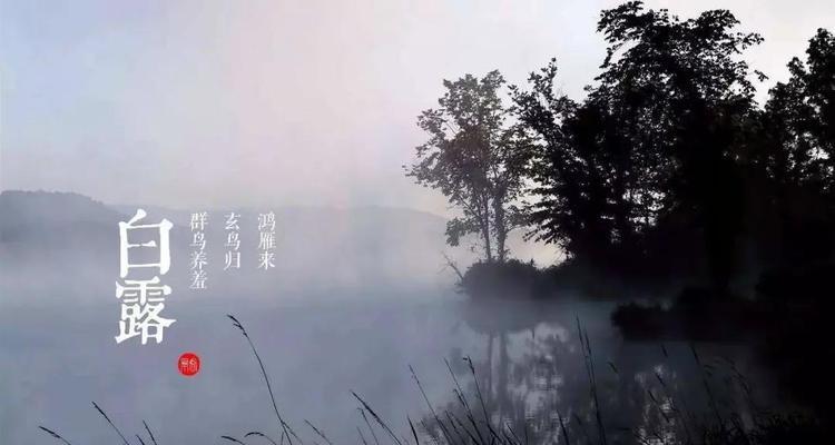 2023年白露经典祝福句子有哪些？如何挑选合适的祝福语？