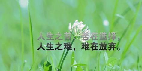 2023年霸气的励志语录有哪些？如何激励自己走向成功？