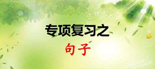 2023年520句子例句110条有哪些？如何用这些句子表达爱意？