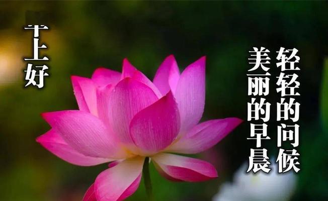 2023年3月份经典祝福说说有哪些？如何挑选合适的祝福语？