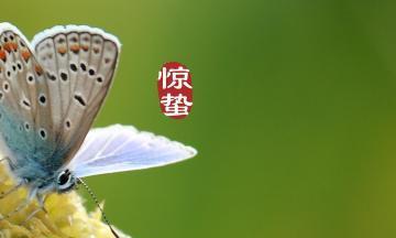 2023年3月5日惊蛰节气祝福语怎么写？有哪些简短的祝福短信推荐？