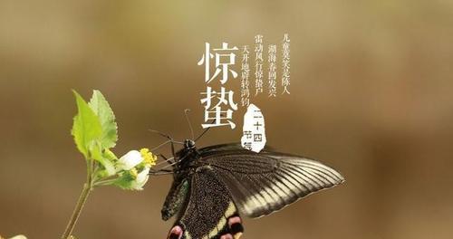 2023年3月5日惊蛰节气祝福语怎么写？有哪些简短的祝福短信推荐？