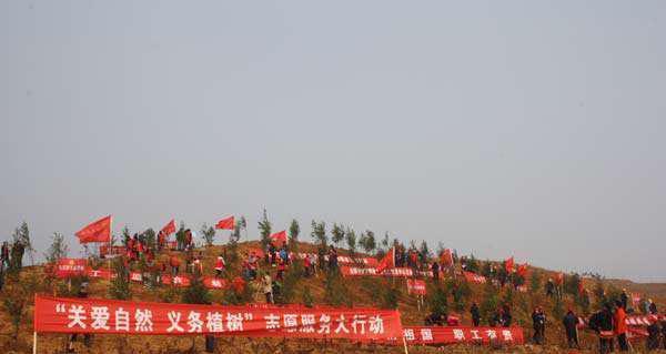 2023年植树节横幅标语怎么设计？有哪些创意宣传点子？