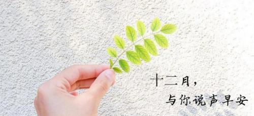 2023年1月再见2月你好唯美句子说说有哪些？如何用这些句子表达情感？