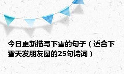 下雪了发朋友圈怎么写？有哪些好句可以分享？
