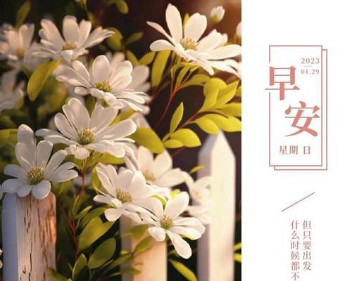 2023年12月朋友圈最新说说文字怎么写？有哪些流行语？
