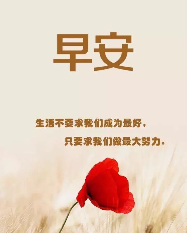 2023年12月励志句子说说语录有哪些？如何激励自己？