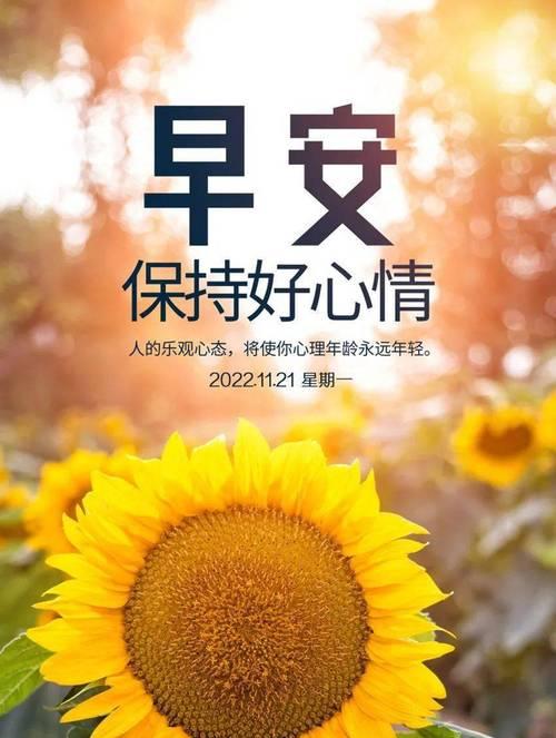 2023你好早安说说怎么发？有哪些创意早安问候语？
