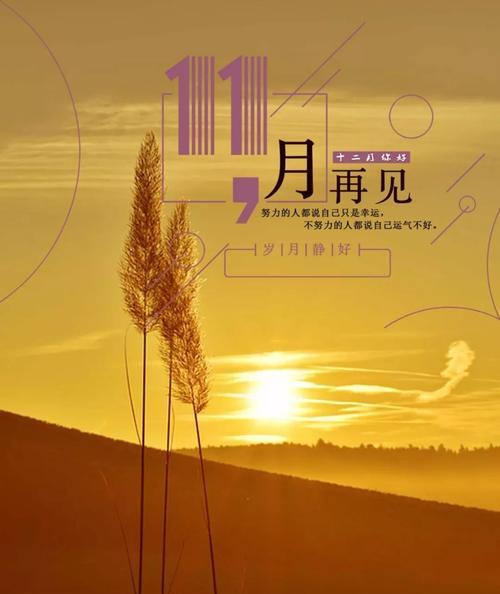 2023年朋友圈流行句子有哪些？如何挑选适合自己的？