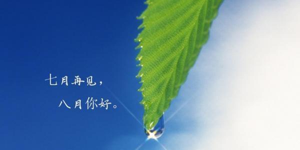 2023年朋友圈文艺句子怎么写？有哪些推荐的文艺说说？