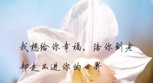 2023年最触动心灵的伤感说说有哪些？如何找到共鸣？