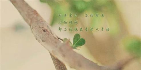 2023年最触动心灵的伤感说说有哪些？如何找到共鸣？