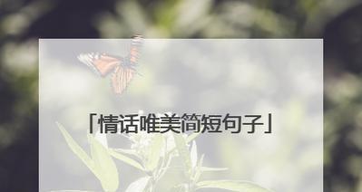 夏天的短句唯美好句有哪些？如何用它们来表达情感？
