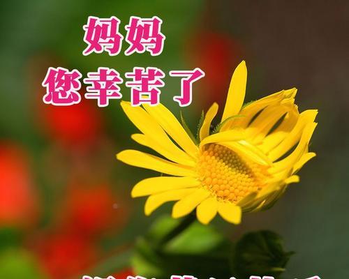 2023母亲节如何发送感人祝福语短信？有哪些短信模板推荐？