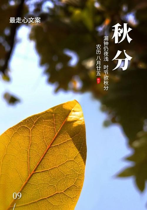 夏至节气有哪些走心好句？如何用这些好句表达情感？