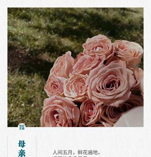 2023母亲节如何表达真挚祝福？精选走心祝福语有哪些？