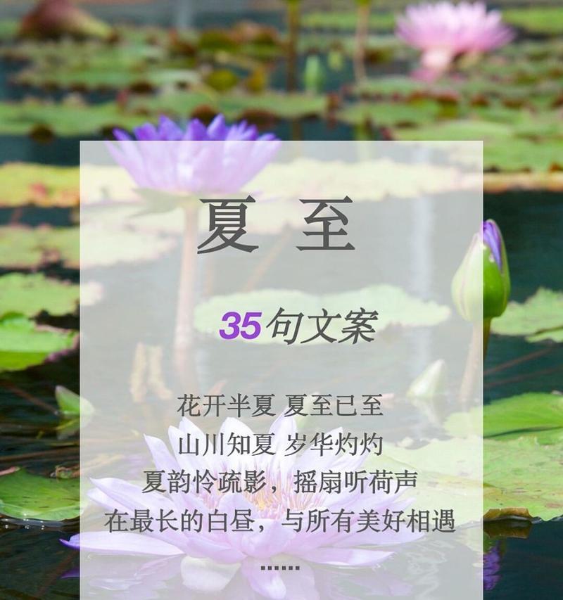 夏至快乐好句短句唯美有哪些？如何用短句表达夏至的唯美情感？