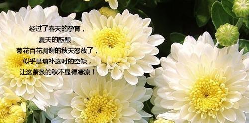 秋分时节如何用唯美的句子描写？有哪些句子可以表达秋分之美？