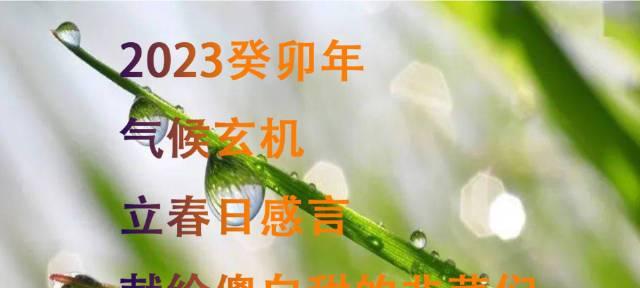 2023描写立春的唯美句子语录有哪些？如何用诗意的语言迎接春天的到来？
