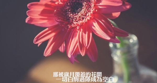 九月的优美句子有哪些？如何用句子描绘九月的美好？