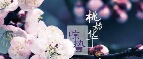 2023年惊蛰节气如何用优美语录表达祝福？