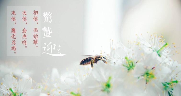 2023年惊蛰节气如何用优美语录表达祝福？