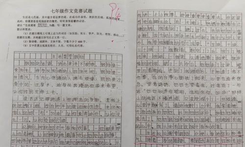 TheJoyofSuccess（AStoryofaThird-yearJuniorHighSchoolStudent）