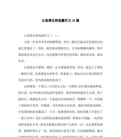 文明守候者（保卫文明）