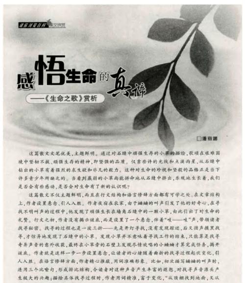 寻找生命真谛（一位女孩的人生冒险）