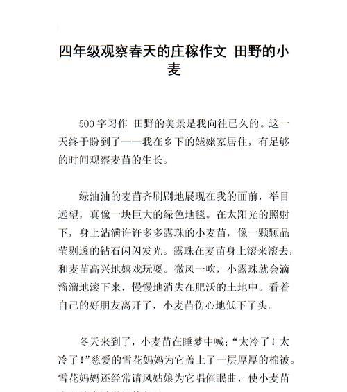 心灵的田野——寻找内心的出口
