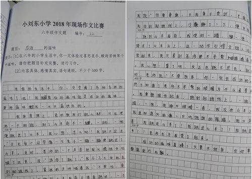 中华风采（用自己的方式将中华文化发扬光大）