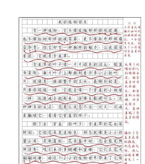探索未知的世界（年轻人在好奇心的驱使下）