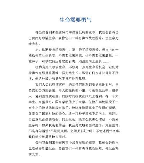 勇气拼搏：一个石匠的故事