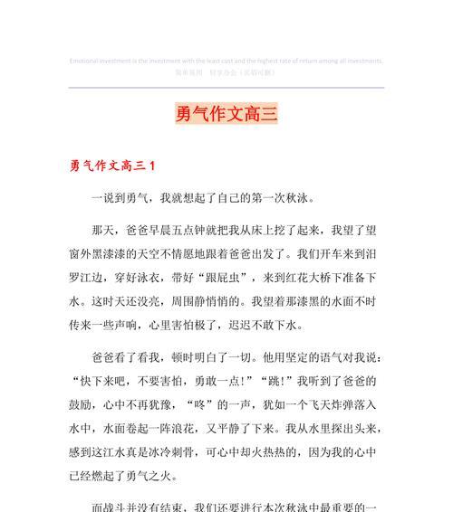 勇气之舞（一个普通人如何用勇敢战胜生活的种种难题）