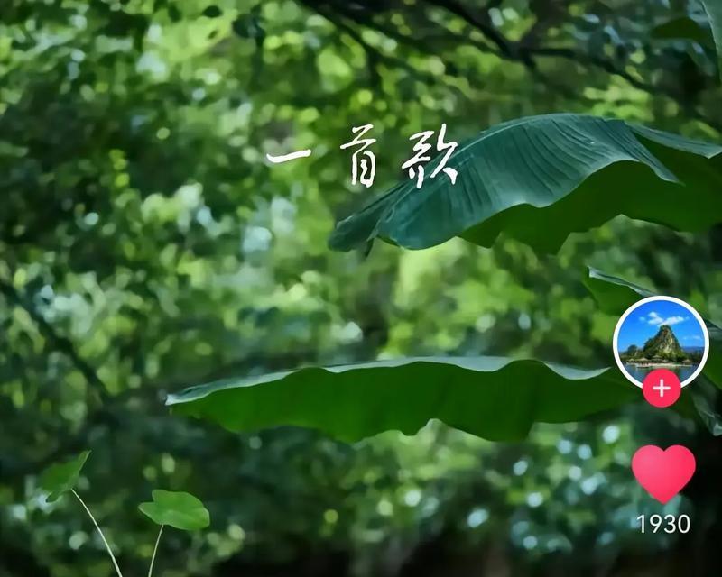 茶香缭绕（品味生活）