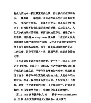 青春如火，梦想永在（一个年轻人的成长故事）