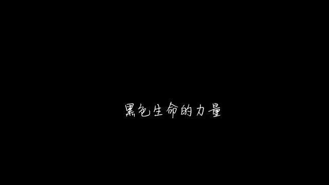 生命的力量（故事中的奇迹）